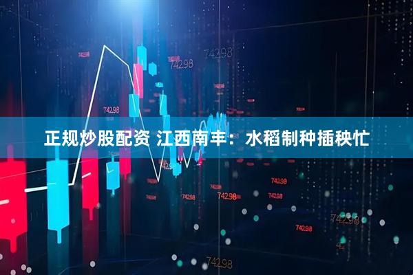 正规炒股配资 江西南丰：水稻制种插秧忙