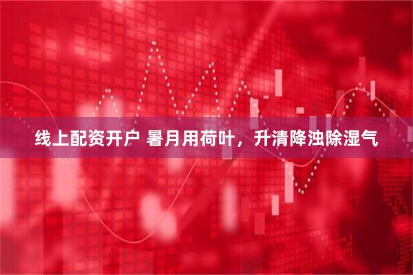 线上配资开户 暑月用荷叶，升清降浊除湿气