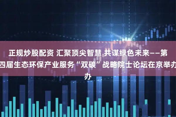 正规炒股配资 汇聚顶尖智慧 共谋绿色未来——第四届生态环保产业服务“双碳”战略院士论坛在京举办
